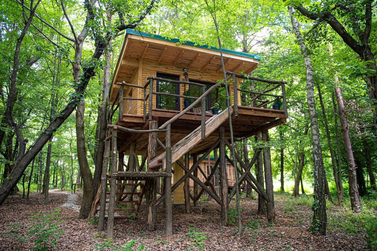 Living Forest Resort Moravske Toplice Exterior photo