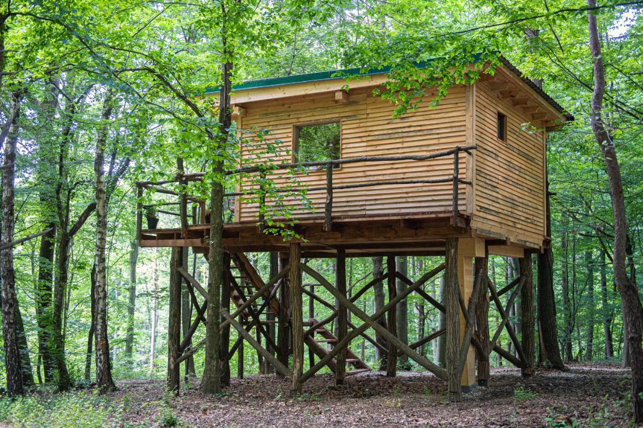 Living Forest Resort Moravske Toplice Exterior photo