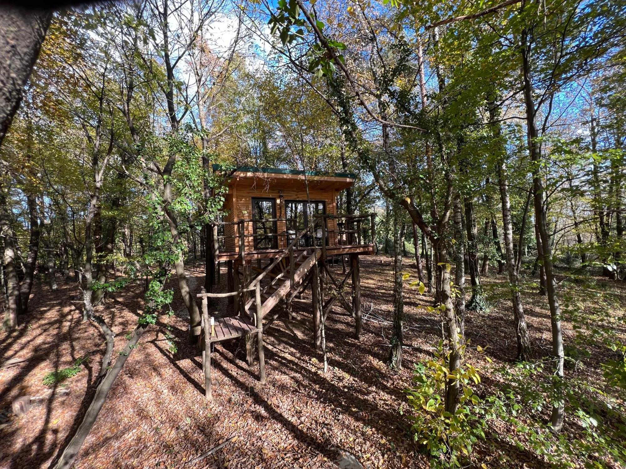 Living Forest Resort Moravske Toplice Room photo