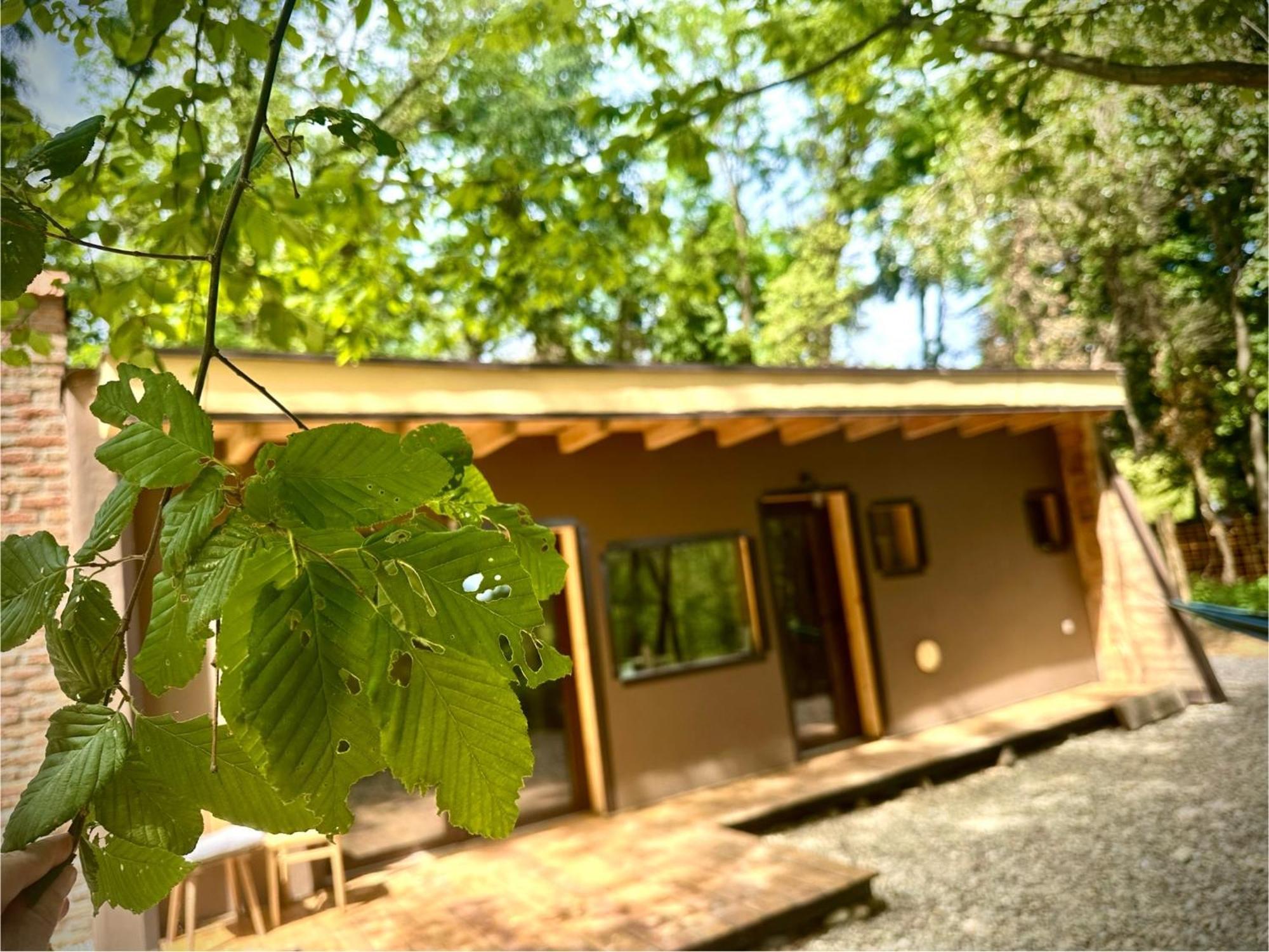 Living Forest Resort Moravske Toplice Exterior photo
